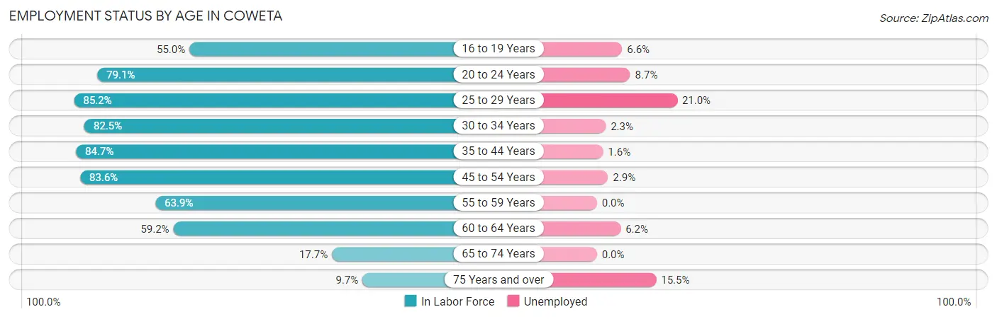 Employment Status by Age in Coweta