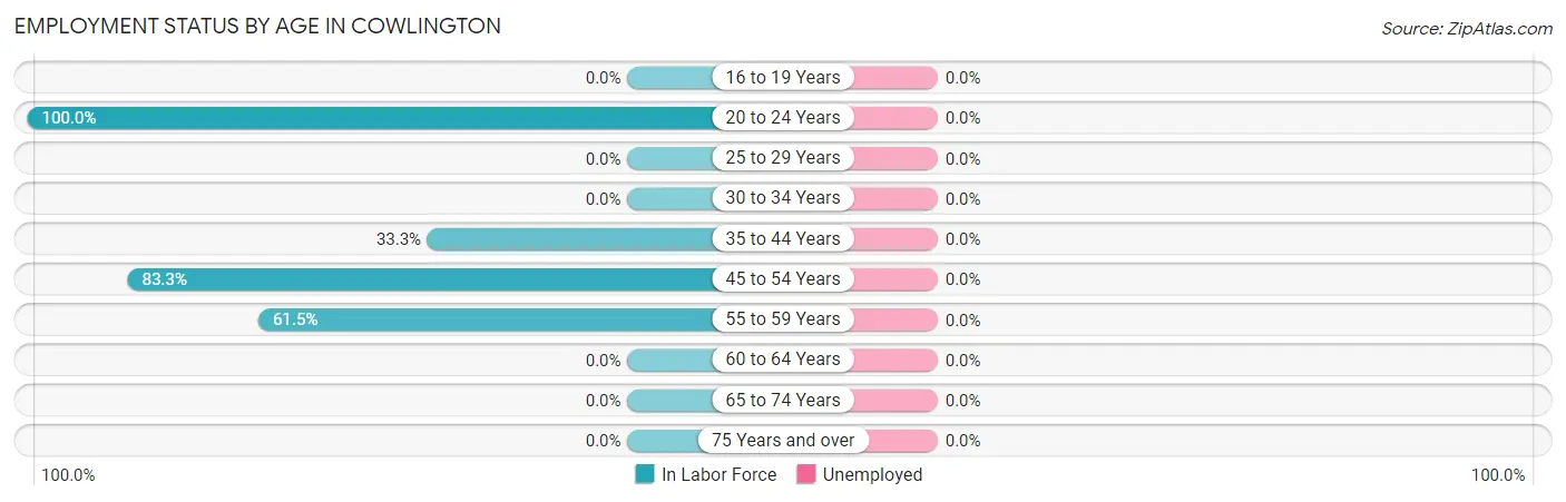 Employment Status by Age in Cowlington