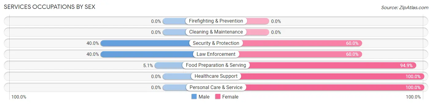 Services Occupations by Sex in Custer City