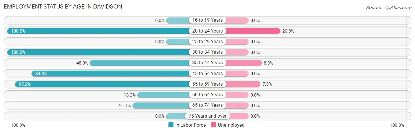 Employment Status by Age in Davidson