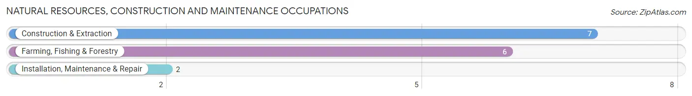 Natural Resources, Construction and Maintenance Occupations in Davidson