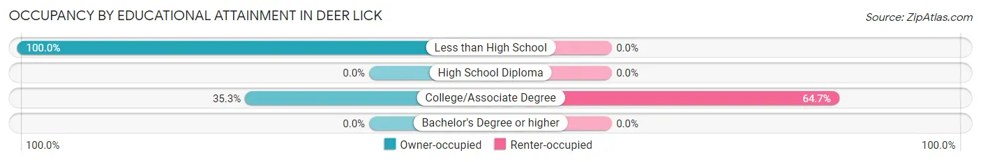 Occupancy by Educational Attainment in Deer Lick
