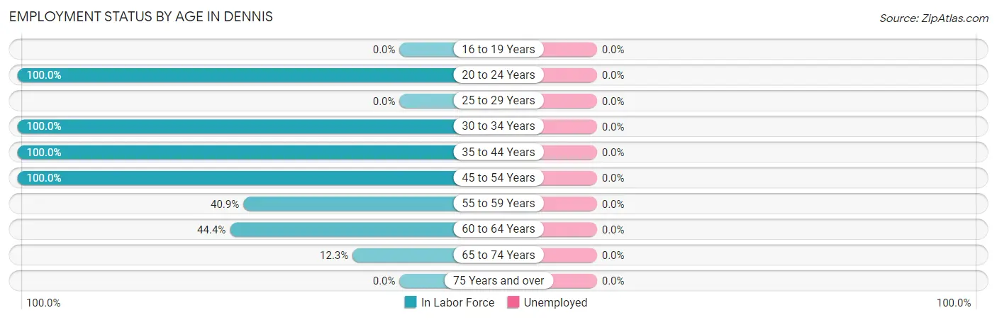 Employment Status by Age in Dennis