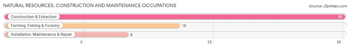 Natural Resources, Construction and Maintenance Occupations in Dewey