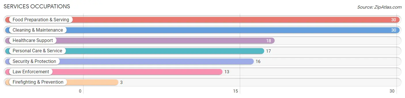 Services Occupations in Dibble