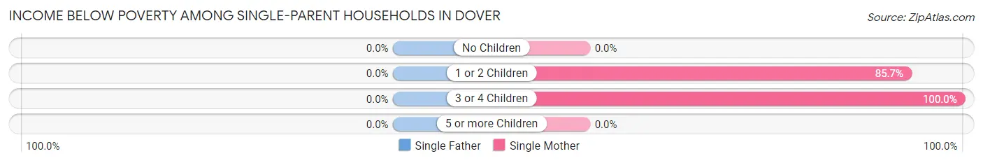 Income Below Poverty Among Single-Parent Households in Dover