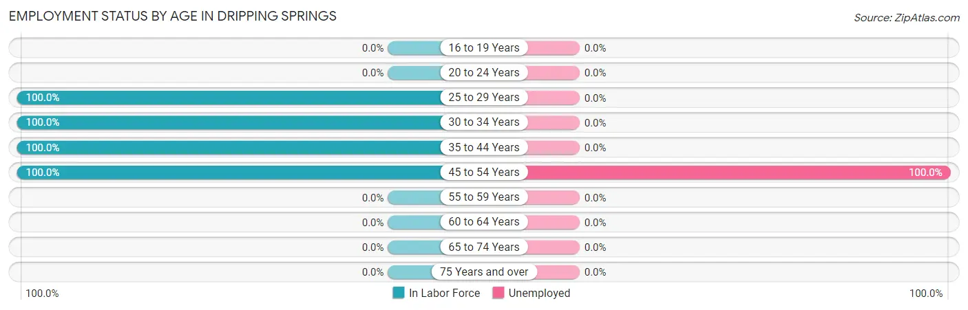Employment Status by Age in Dripping Springs