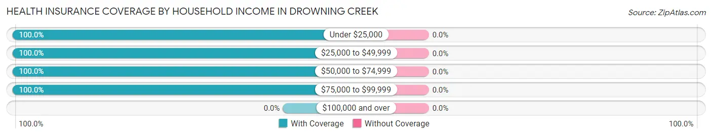 Health Insurance Coverage by Household Income in Drowning Creek