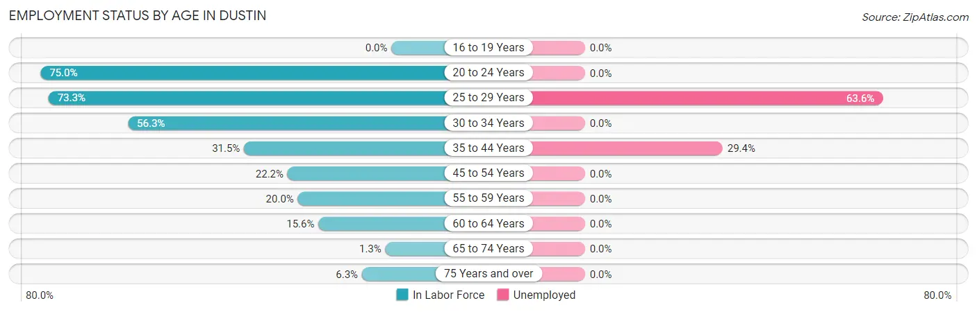 Employment Status by Age in Dustin