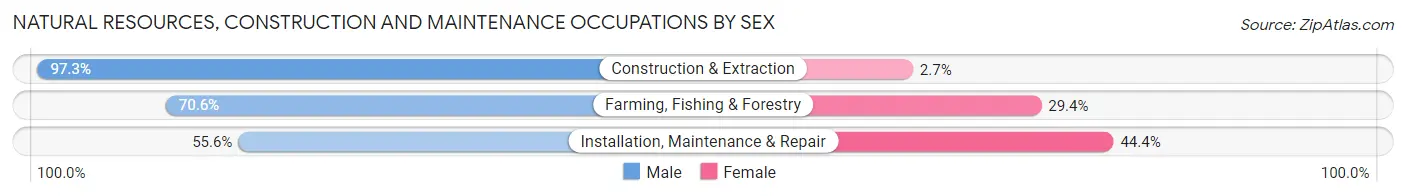 Natural Resources, Construction and Maintenance Occupations by Sex in Eakly