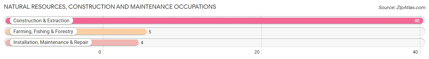 Natural Resources, Construction and Maintenance Occupations in Eldorado