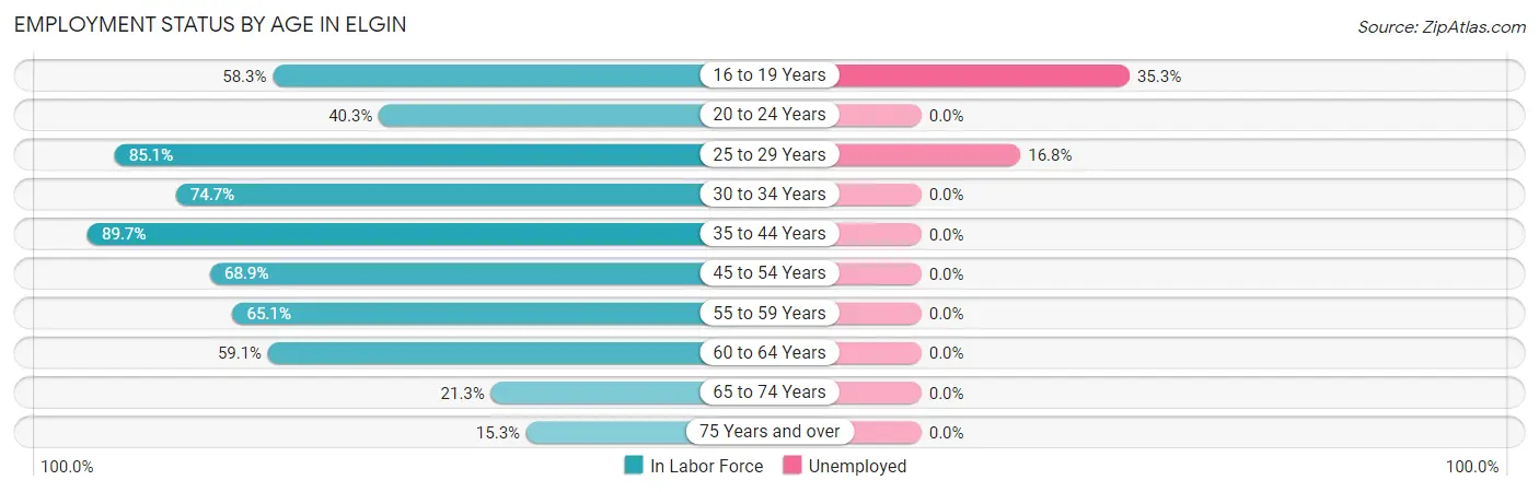 Employment Status by Age in Elgin