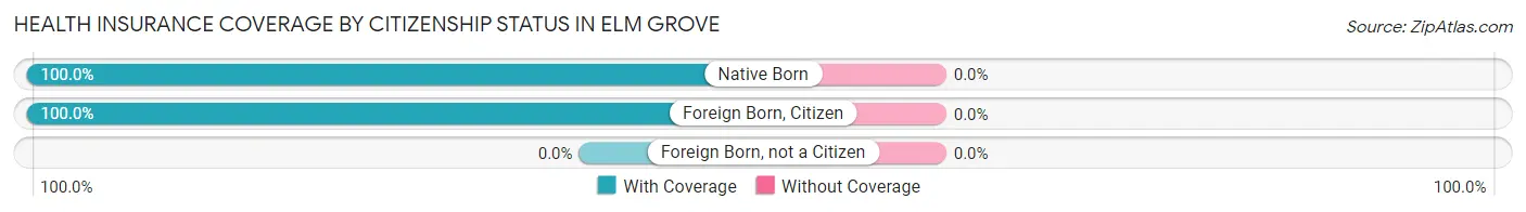 Health Insurance Coverage by Citizenship Status in Elm Grove