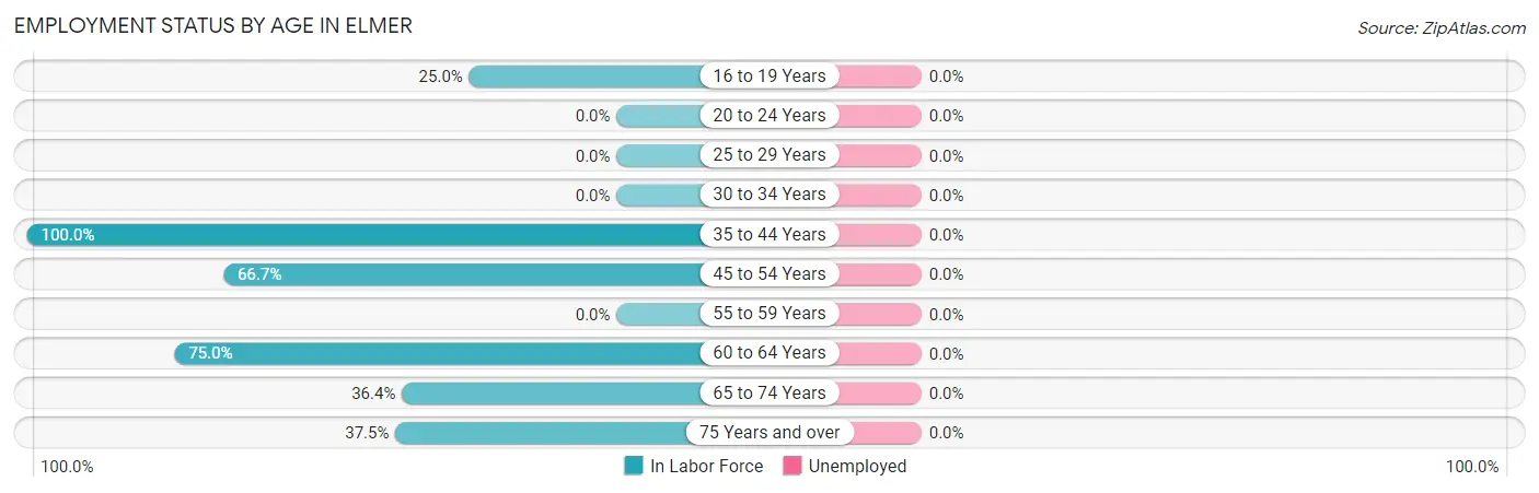 Employment Status by Age in Elmer