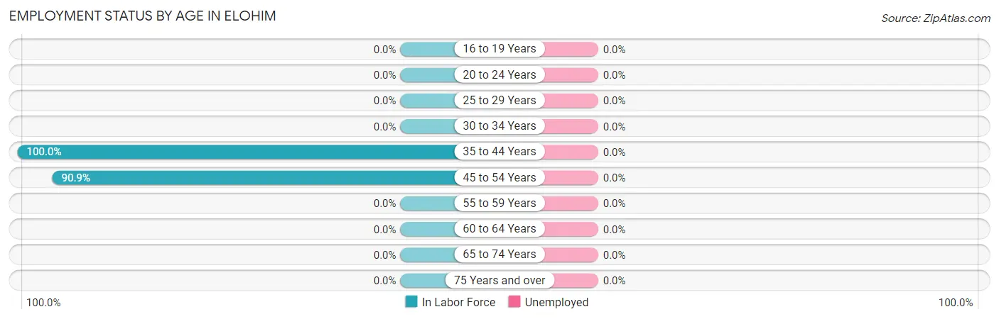 Employment Status by Age in Elohim