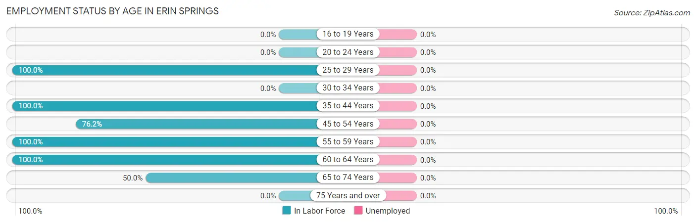Employment Status by Age in Erin Springs
