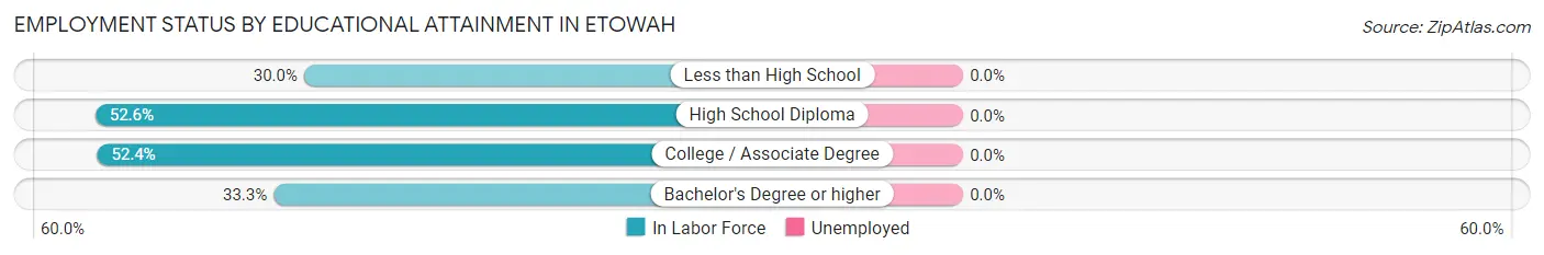 Employment Status by Educational Attainment in Etowah