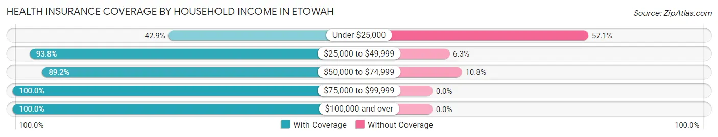 Health Insurance Coverage by Household Income in Etowah