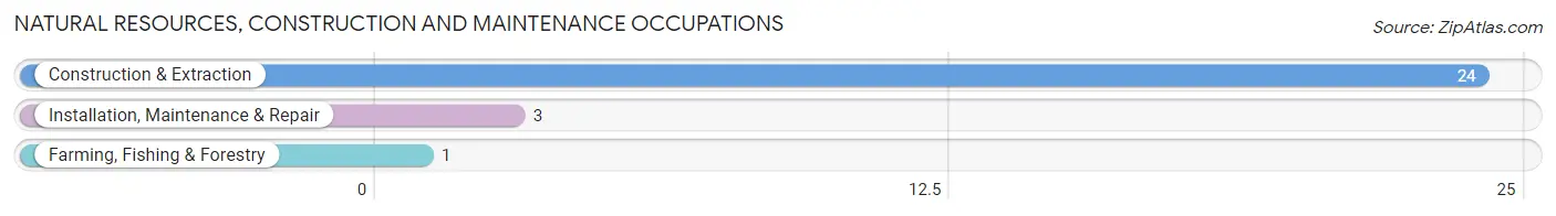 Natural Resources, Construction and Maintenance Occupations in Fanshawe