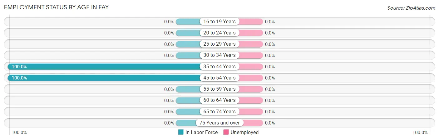 Employment Status by Age in Fay