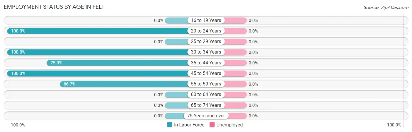 Employment Status by Age in Felt