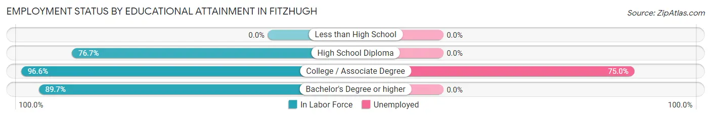 Employment Status by Educational Attainment in Fitzhugh