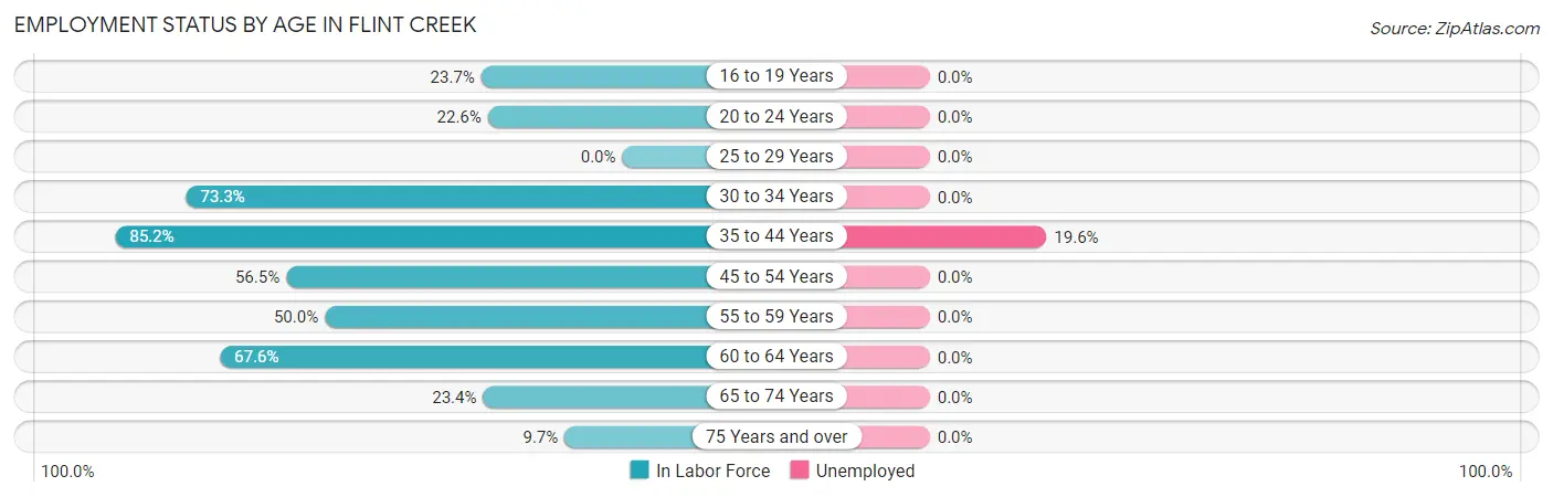 Employment Status by Age in Flint Creek