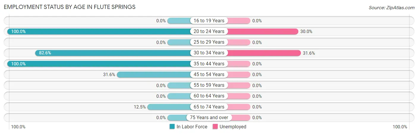 Employment Status by Age in Flute Springs