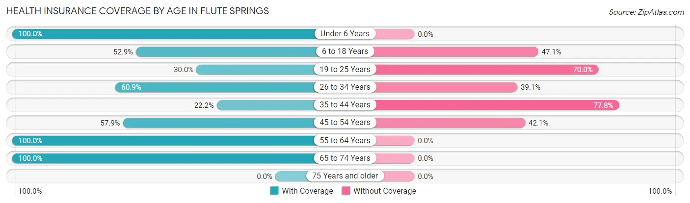Health Insurance Coverage by Age in Flute Springs