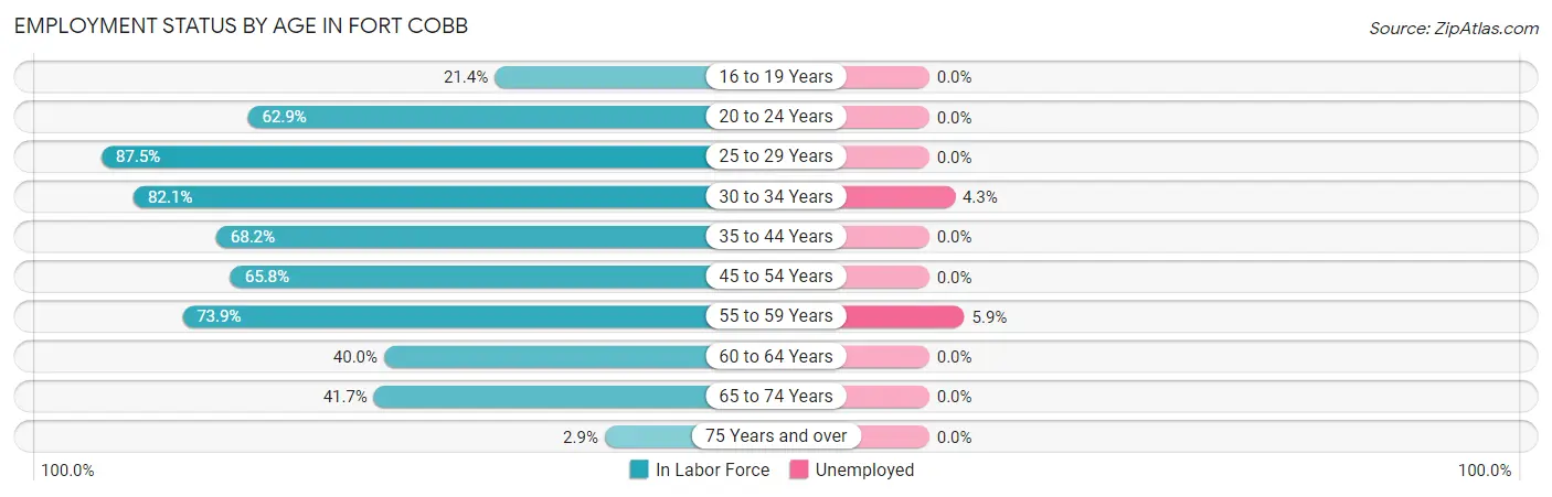 Employment Status by Age in Fort Cobb