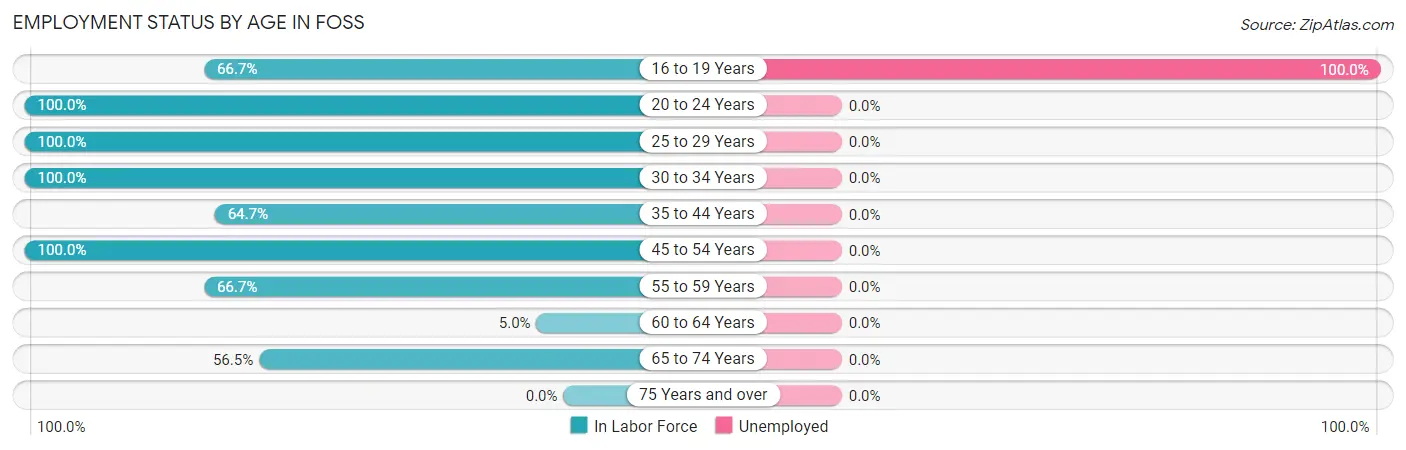 Employment Status by Age in Foss