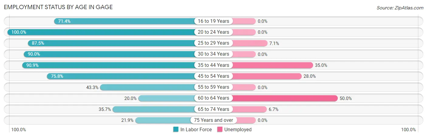 Employment Status by Age in Gage