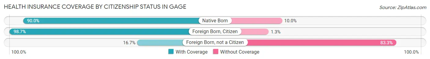 Health Insurance Coverage by Citizenship Status in Gage