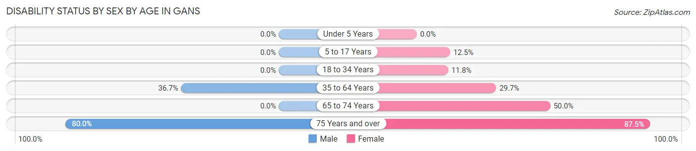 Disability Status by Sex by Age in Gans