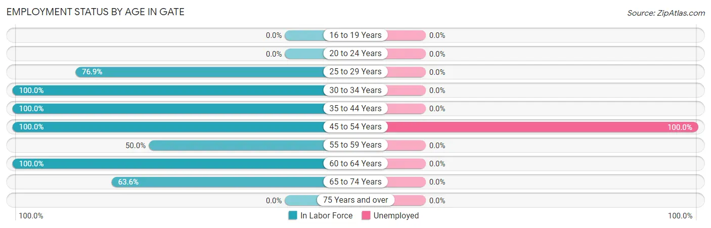 Employment Status by Age in Gate