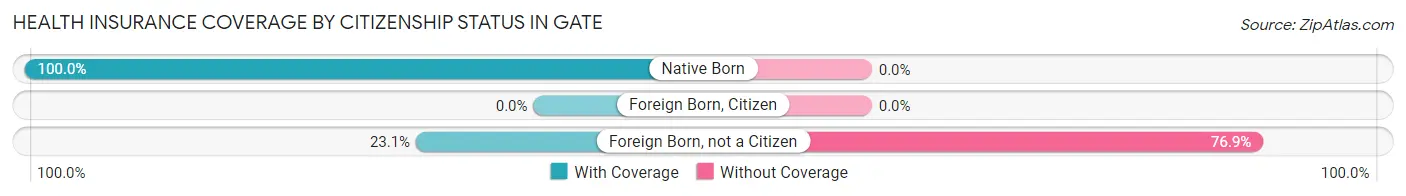 Health Insurance Coverage by Citizenship Status in Gate