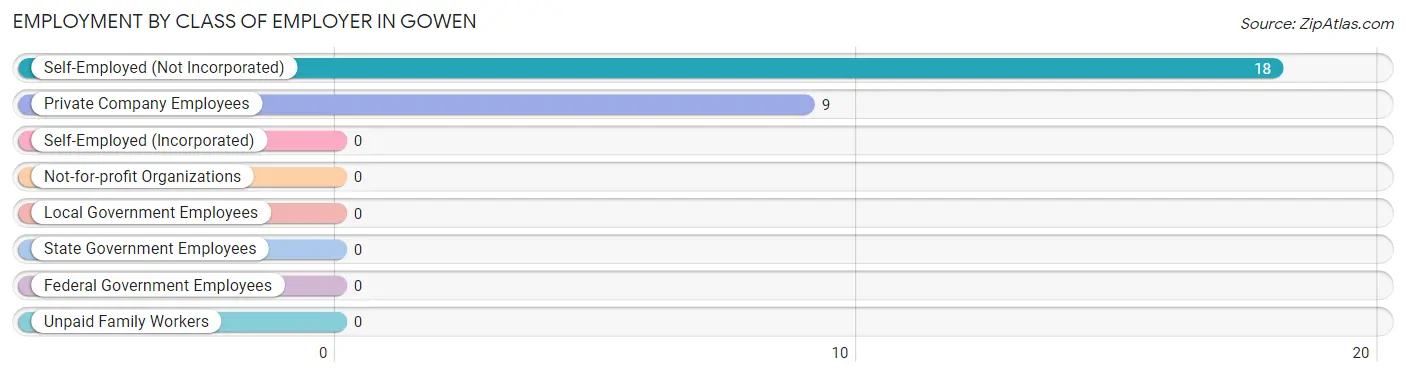 Employment by Class of Employer in Gowen