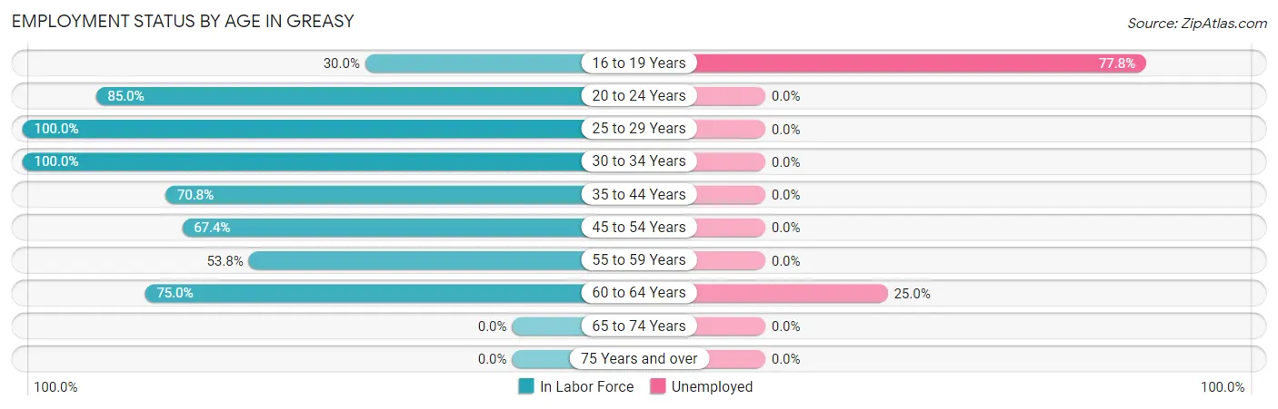 Employment Status by Age in Greasy