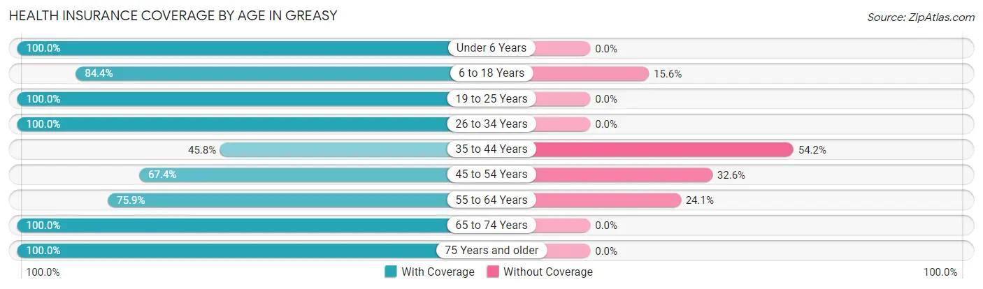 Health Insurance Coverage by Age in Greasy