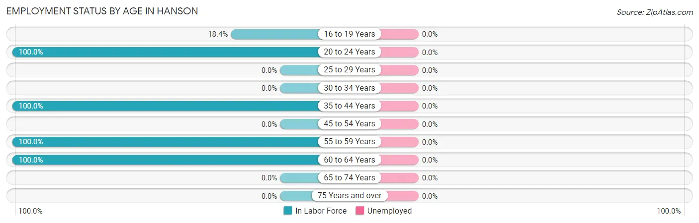 Employment Status by Age in Hanson