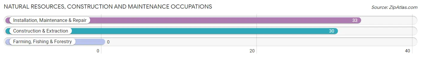 Natural Resources, Construction and Maintenance Occupations in Haskell