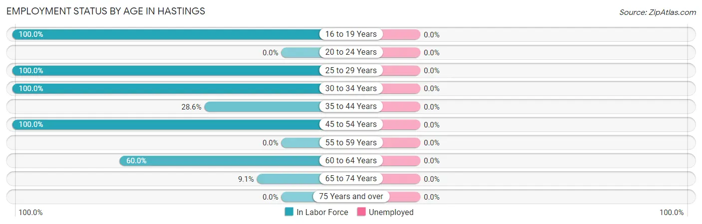 Employment Status by Age in Hastings