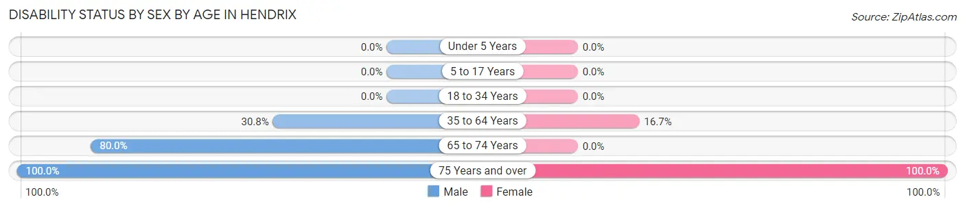 Disability Status by Sex by Age in Hendrix
