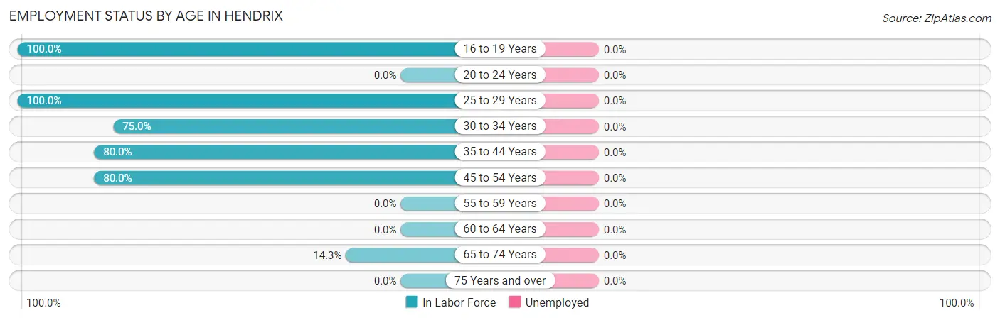 Employment Status by Age in Hendrix