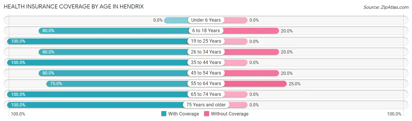 Health Insurance Coverage by Age in Hendrix
