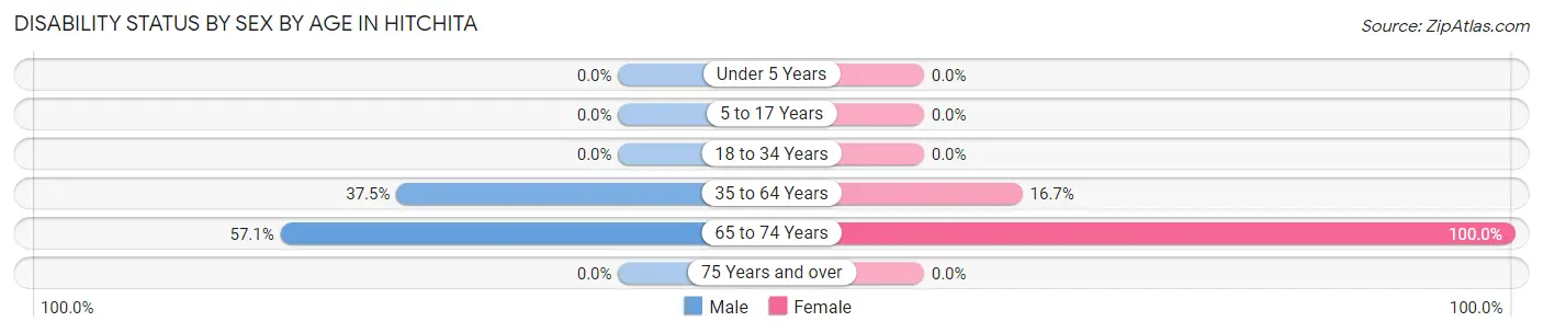 Disability Status by Sex by Age in Hitchita