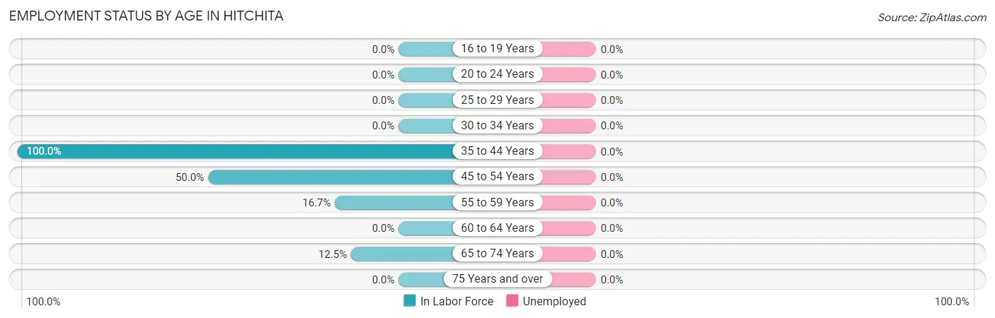 Employment Status by Age in Hitchita