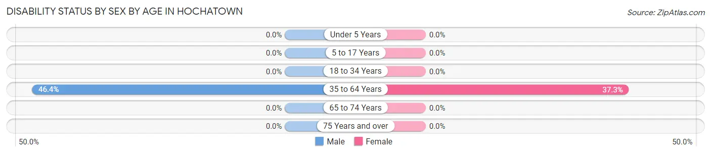 Disability Status by Sex by Age in Hochatown
