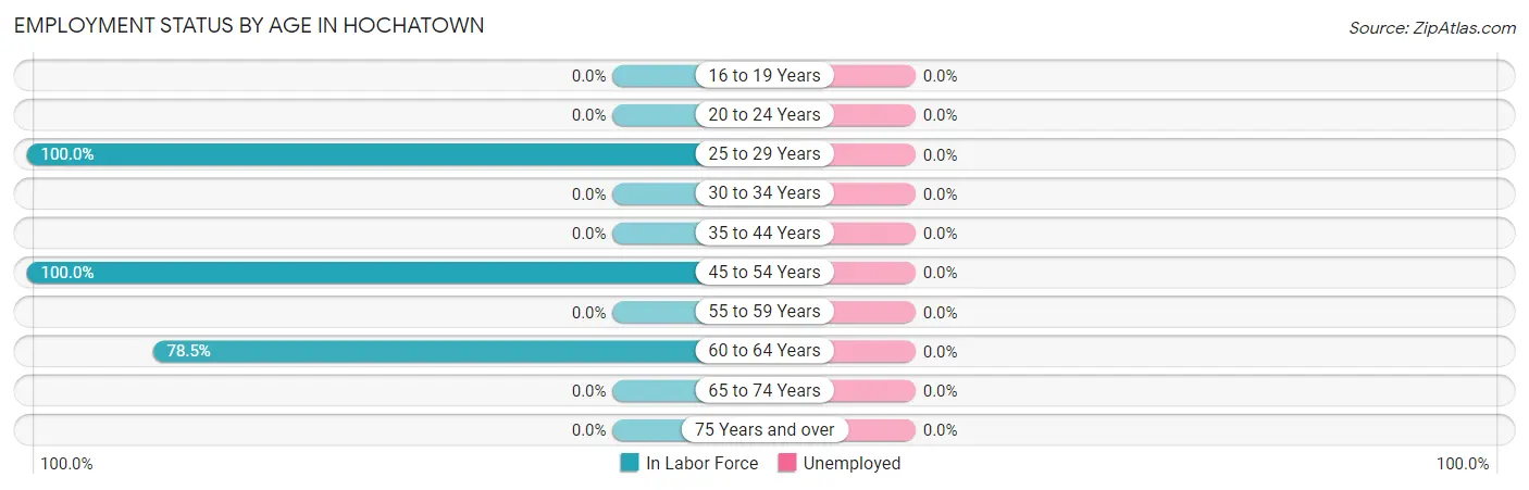 Employment Status by Age in Hochatown