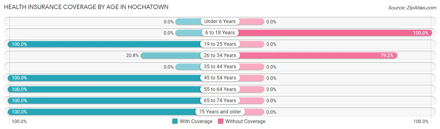 Health Insurance Coverage by Age in Hochatown